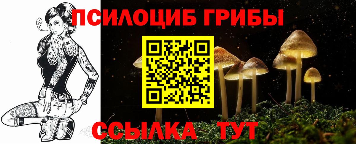 Богданович  где купить   Вход с VPN  Псилоцибиновые грибы Magic Shrooms 